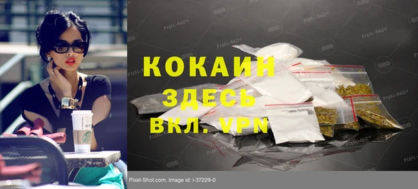 apvp Алексин