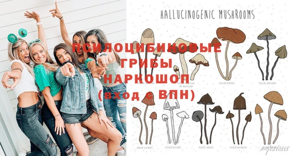 прущая мука Аркадак