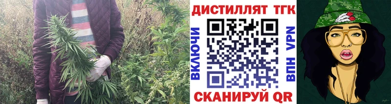 darknet формула  ОМГ ОМГ   Камешково  где можно купить   ТГК вейп с тгк 