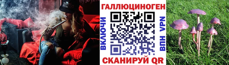 Галлюциногенные грибы MAGIC MUSHROOMS Камешково
